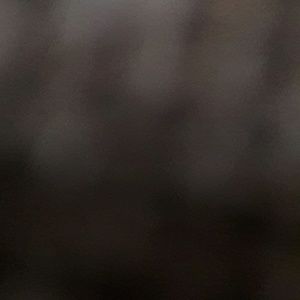 Meet your Posher, Layla